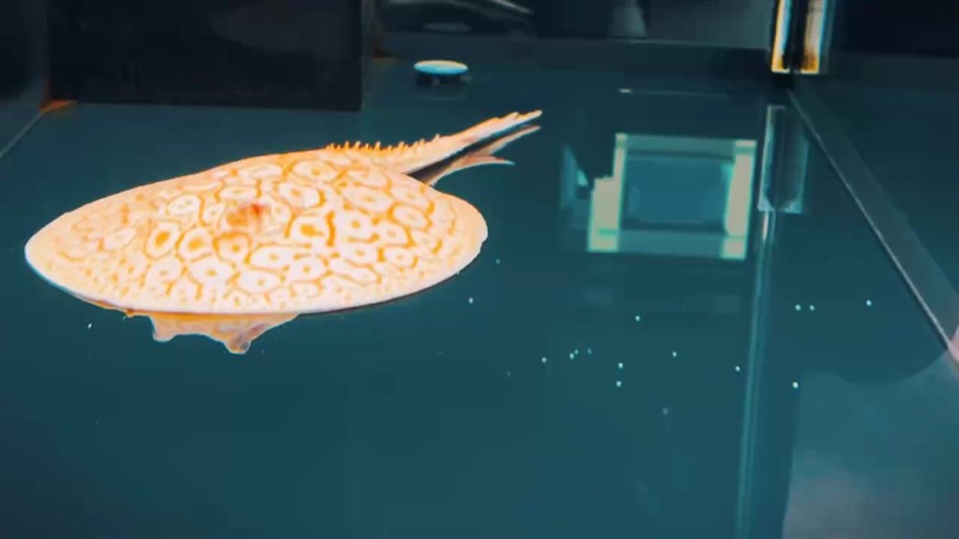 多一點耐心