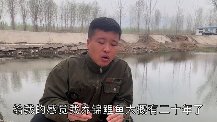 多大魚缸能養錦鯉魚：養錦鯉魚需要多大的魚缸？