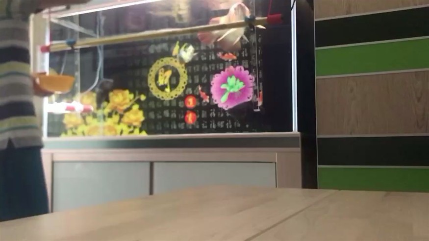 撞缸后第二天恢復(fù)得很不錯繼續(xù)努力