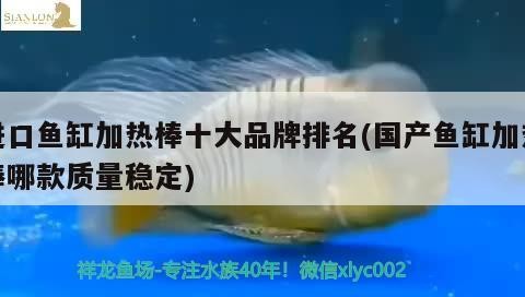 進口魚缸加熱棒十大品牌排名(國產魚缸加熱棒哪款質量穩定)