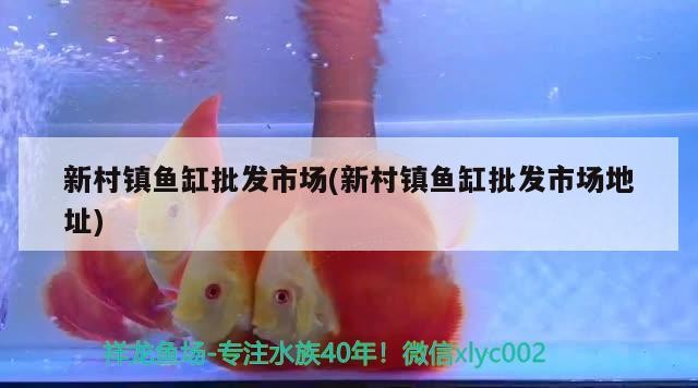 新村鎮(zhèn)魚缸批發(fā)市場(chǎng)(新村鎮(zhèn)魚缸批發(fā)市場(chǎng)地址)