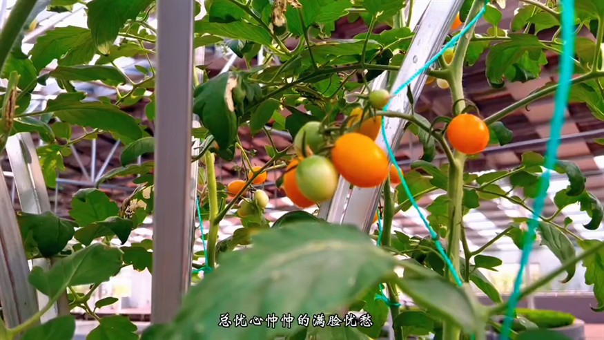 養水，就得養出“活、嫩、爽”的感覺