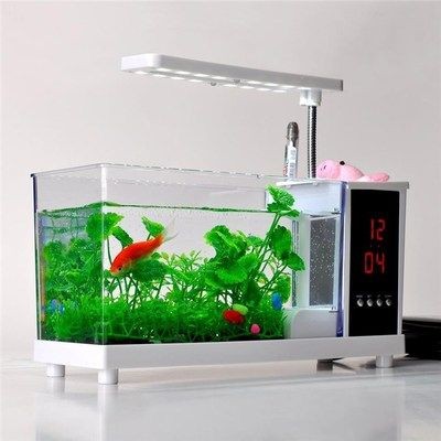 成品魚缸推薦：如何選擇合適的成品魚缸