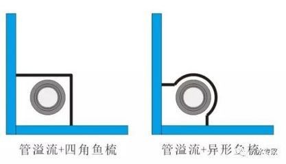 成品魚缸推薦：如何選擇合適的成品魚缸