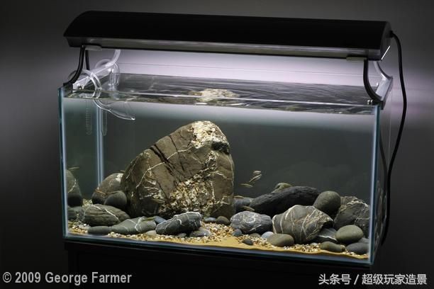 冬天魚缸要加溫嗎：冬季養魚與節能技巧在冬季養魚與節能技巧技巧 冬天魚缸要加溫嗎：冬季養魚與節能技巧在冬季養魚與節能技巧技巧 魚缸百科 第4張