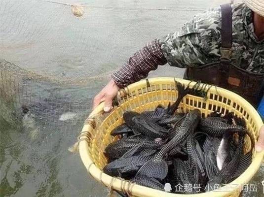 洪洞縣大槐樹(shù)鎮(zhèn)城東新村水族世界（洪洞水族館）