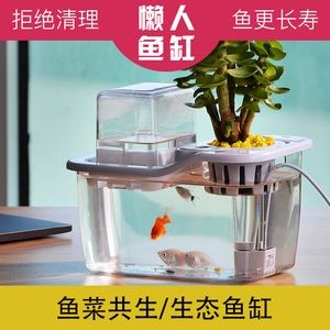 斗魚魚缸裝飾圖：斗魚魚缸裝飾實物圖 斗魚魚缸裝飾圖：斗魚魚缸裝飾實物圖 魚缸百科 第1張