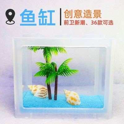 斗魚魚缸裝飾圖：斗魚魚缸裝飾實物圖 斗魚魚缸裝飾圖：斗魚魚缸裝飾實物圖 魚缸百科 第4張