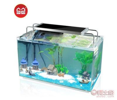 超白魚缸和普通魚缸哪個好