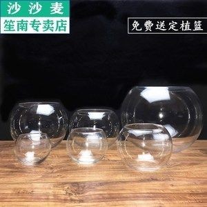 玻璃球魚缸：玻璃球在魚缸中的應用