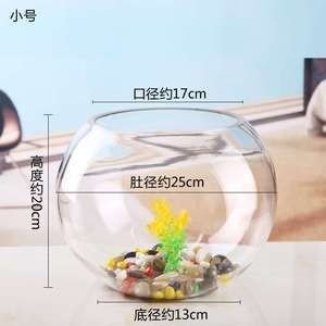 玻璃球魚缸：玻璃球在魚缸中的應用
