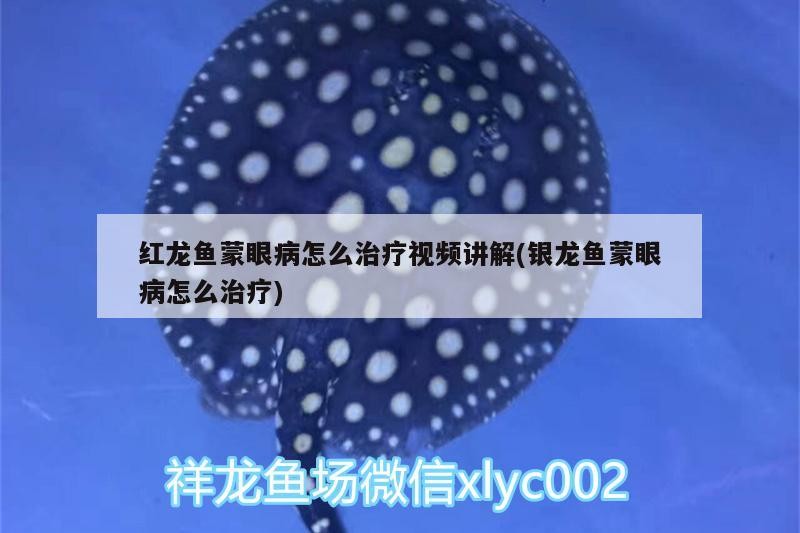 海水純魚缸造景還是裸缸造景好，海水純魚缸造景好還是裸缸造景好 海水純魚缸造景還是裸缸造景好，海水純魚缸造景好還是裸缸造景好 觀賞魚百科 第1張