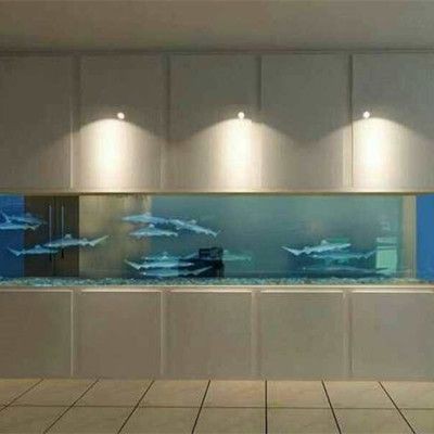 1米8魚缸用多厚的超白玻璃好些：1.8米高的魚缸用多厚的玻璃好些 1米8魚缸用多厚的超白玻璃好些：1.8米高的魚缸用多厚的玻璃好些 魚缸百科 第3張