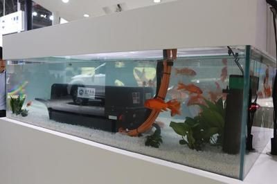 大型魚缸需要漏電保護嗎：大型魚缸需要漏電保護嗎？