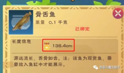創造與魔法觀賞魚缸擺件：《創造與魔法》觀賞魚缸擺件如何獲取觀賞魚和擺件的詳細步驟 創造與魔法觀賞魚缸擺件：《創造與魔法》觀賞魚缸擺件如何獲取觀賞魚和擺件的詳細步驟 魚缸百科 第4張
