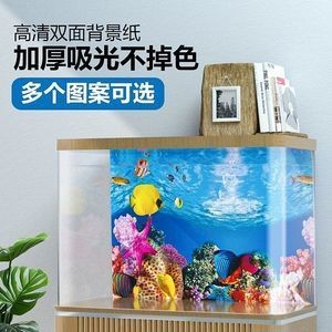 成品魚缸背景紙怎么更換：如何更換魚缸背景紙，魚缸背景紙的選擇技巧和注意事項