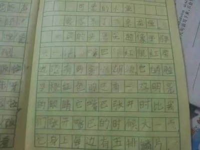 龍魚的養護與鑒賞作文400字 龍魚的養護與鑒賞作文400字 龍魚百科 第1張