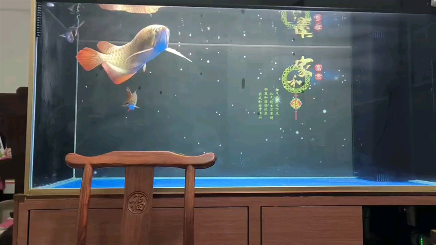 打卡，打卡