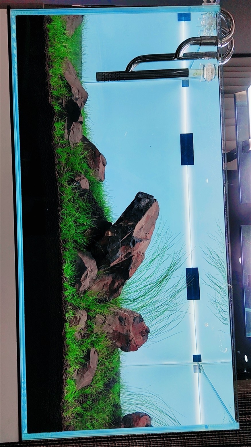 玩過所有的缸