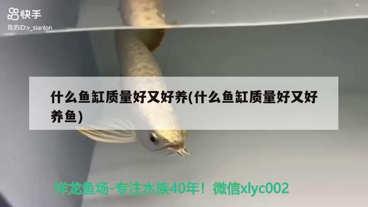 什么魚缸質(zhì)量好又好養(yǎng)(什么魚缸質(zhì)量好又好養(yǎng)魚)