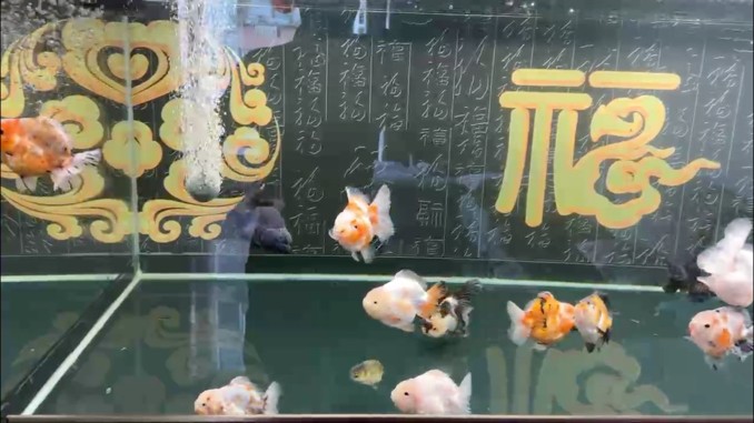 記錄帖
