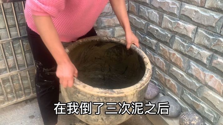 不用換水的生態魚缸的制作方法有哪些