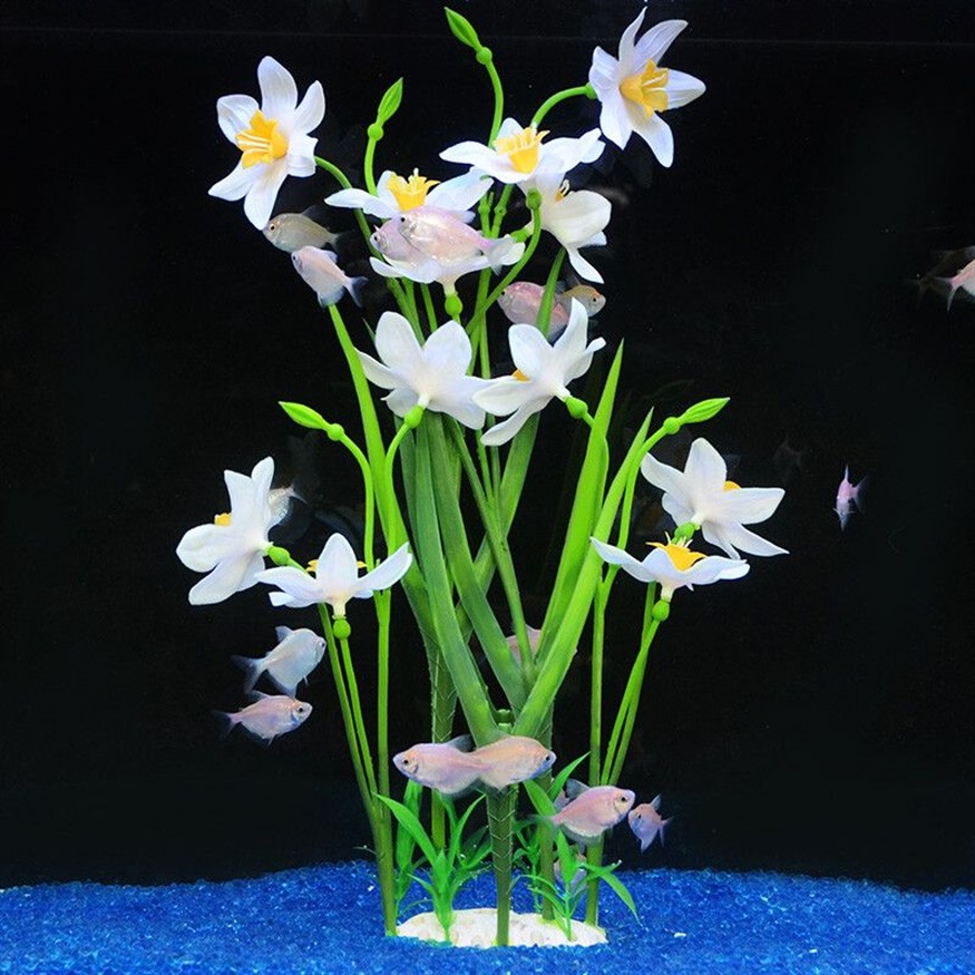 SIBOJIA魚缸：\"sibojia\" SIBOJIA魚缸：\"sibojia\" 魚缸百科 第3張