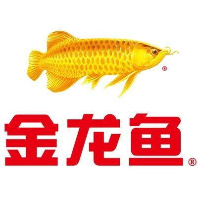 金龍魚吃螞蚱嗎