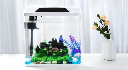 oblong魚缸觸摸屏使用方法:\"oblong魚缸觸摸屏使用方法 魚缸百科 第3張 oblong魚缸觸摸屏使用方法:\"oblong魚缸觸摸屏使用方法 oblong魚缸觸摸屏使用方法:\"oblong魚缸觸摸屏使用方法 魚缸百科 第3張