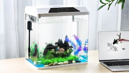 oblong魚缸觸摸屏使用方法:\"oblong魚缸觸摸屏使用方法 魚缸百科 第4張 oblong魚缸觸摸屏使用方法:\"oblong魚缸觸摸屏使用方法 oblong魚缸觸摸屏使用方法:\"oblong魚缸觸摸屏使用方法 魚缸百科 第4張