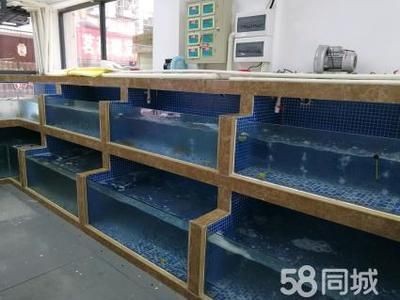 超市魚缸制作:海鮮魚缸的選擇 魚缸百科 第3張 超市魚缸制作:海鮮魚缸的選擇 超市魚缸制作:海鮮魚缸的選擇 魚缸百科 第3張