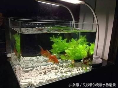 玻璃魚缸會自己爆裂嗎為什么：如何預防玻璃魚缸爆裂
