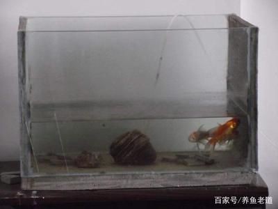 玻璃魚缸會自己爆裂嗎為什么：如何預防玻璃魚缸爆裂