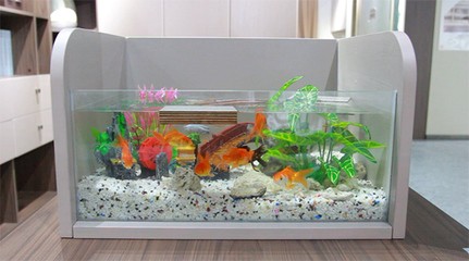 撫順市新撫鑫榮魚具用品店(撫順市新撫鑫榮魚具用品店地址) 全國水族館企業名錄 第1張 撫順市新撫鑫榮魚具用品店(撫順市新撫鑫榮魚具用品店地址) 撫順市新撫鑫榮魚具用品店(撫順市新撫鑫榮魚具用品店地址) 全國水族館企業名錄 第1張