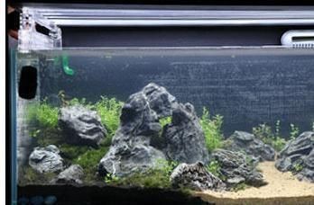 大型魚缸怎么粘：大型魚缸的粘接方法