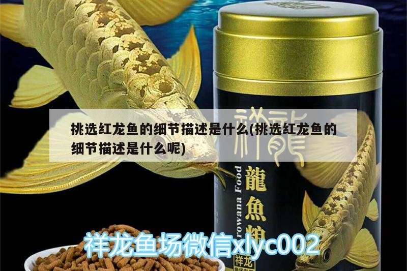 看看虎魚這算蒙眼嗎？