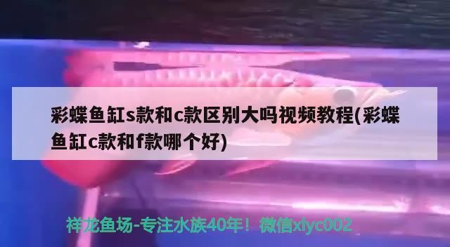 魚缸里放水草泥就能免換水嗎 （水草泥上面鋪一層河沙可以養(yǎng)好水草嗎）