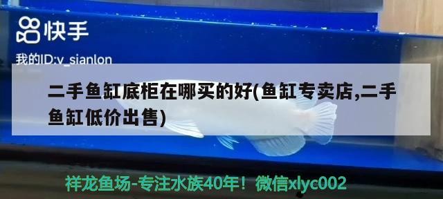 二手魚缸底柜在哪買的好(魚缸專賣店,二手魚缸低價出售)