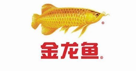紅龍魚用什么燈比較好（紅龍魚用什么燈比較好看） 紅龍魚用什么燈比較好（紅龍魚用什么燈比較好看） 紅龍魚百科