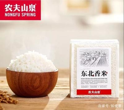 紅龍魚趴缸在水底不動怎么辦（紅龍魚趴缸在水底不動怎么辦呢）