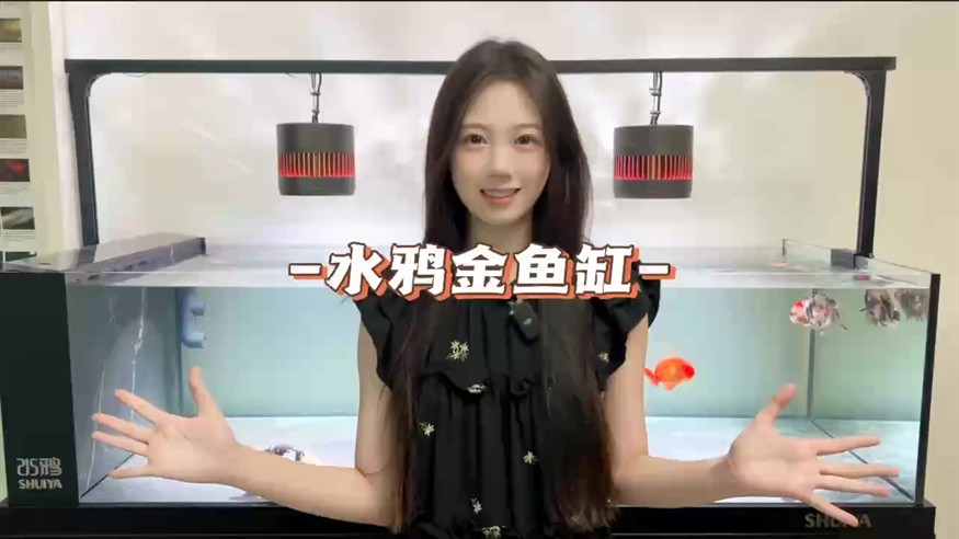 13999的水鴉金魚缸到底怎么樣