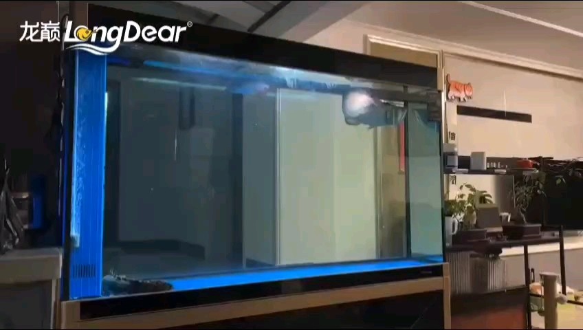 轉發167