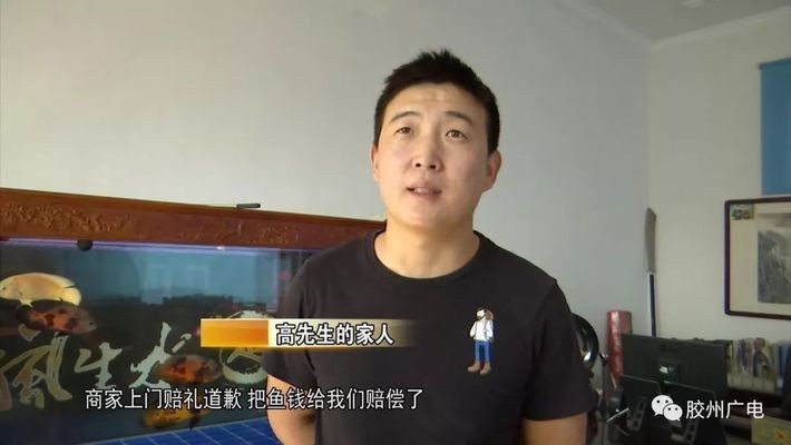 紅龍魚出售或轉讓騙局：如何辨別紅龍魚的真偽