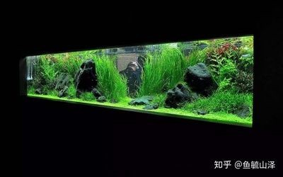 超白魚缸和普通魚缸區(qū)別：超白魚缸和普通魚缸的區(qū)別