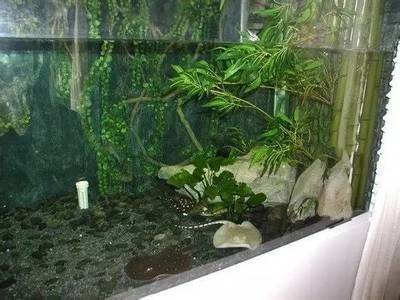 pvc管改裝魚缸過濾：pvc管改裝魚缸過濾器的優點