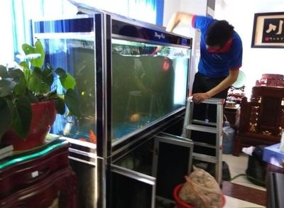 超市魚缸怎么清洗換水：超市魚缸清洗換水步驟和注意事項