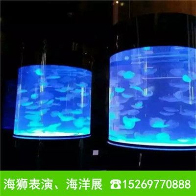 搬個魚缸多少錢一個月：搬個魚缸的費用是按月計算的嗎？