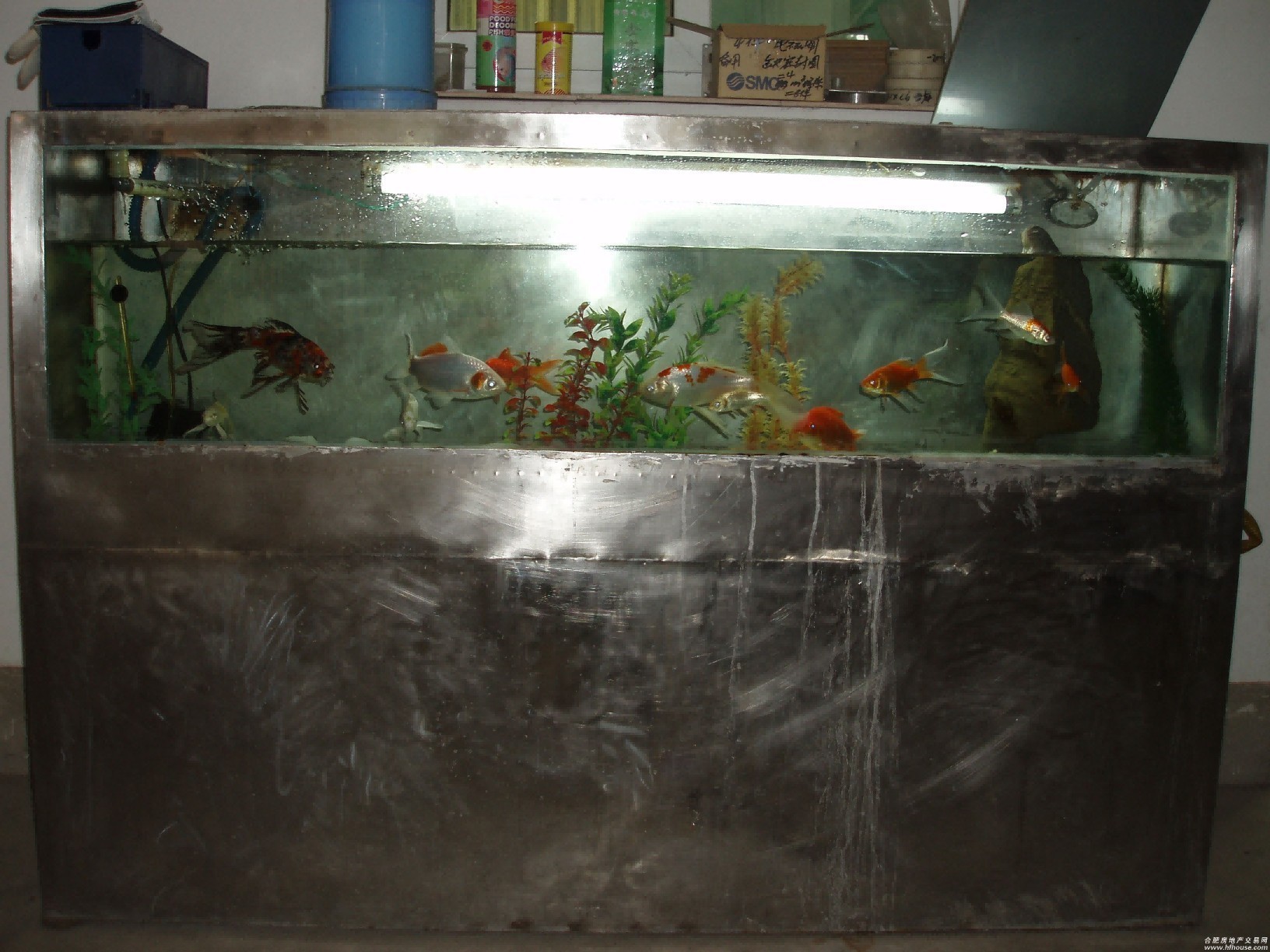 百春旺魚缸廠家在哪里：臨沂百春旺魚缸廠家在哪里
