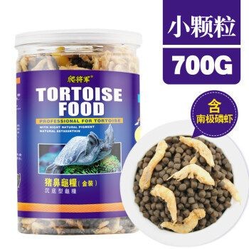 豬鼻龜蛋孵化全過程視頻播放：豬鼻龜孵化全過程