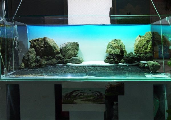 大魚缸石頭造景效果圖:大魚缸石頭造景的種類和特點(diǎn) 魚缸百科 第3張 大魚缸石頭造景效果圖:大魚缸石頭造景的種類和特點(diǎn) 大魚缸石頭造景效果圖:大魚缸石頭造景的種類和特點(diǎn) 魚缸百科 第3張